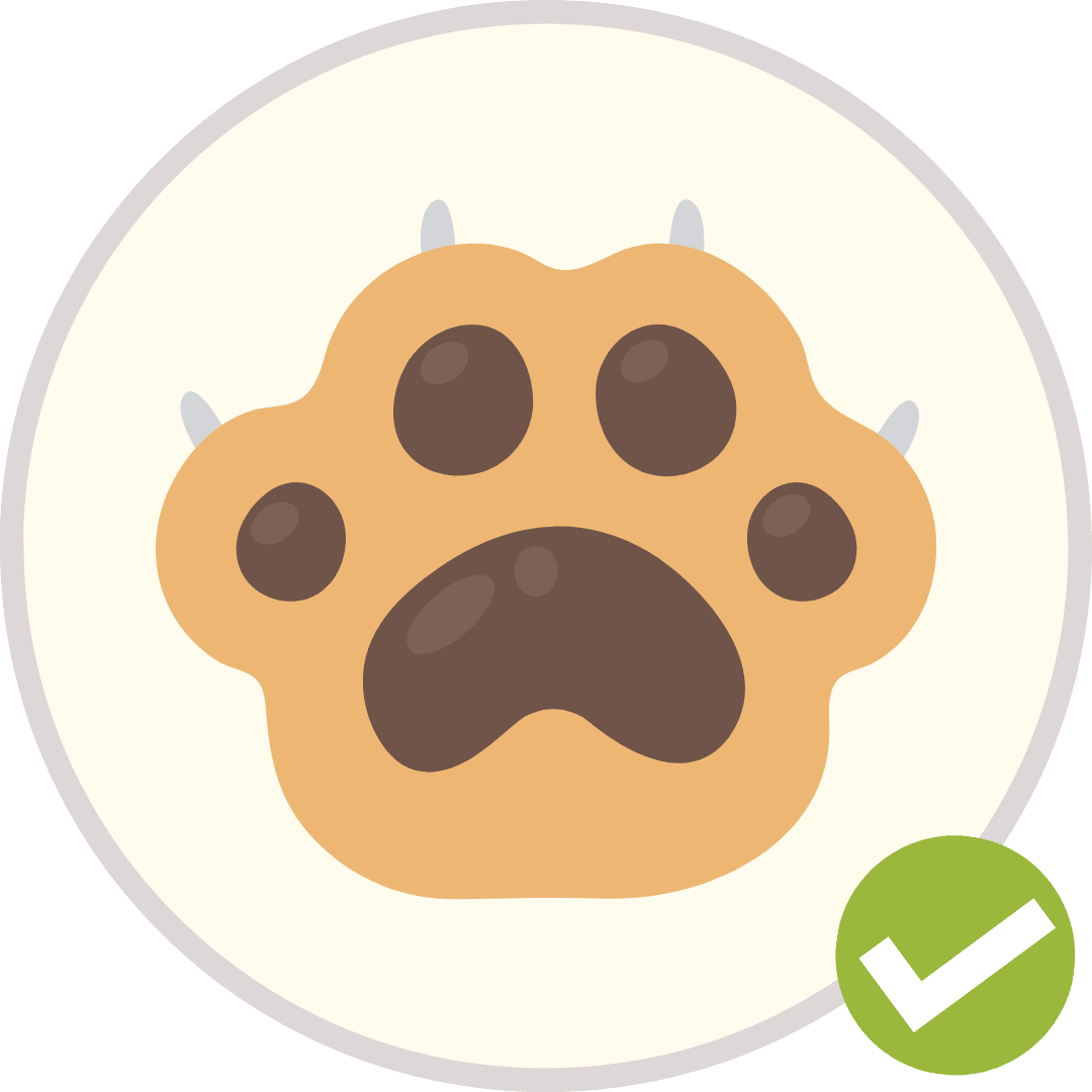 Icon 1