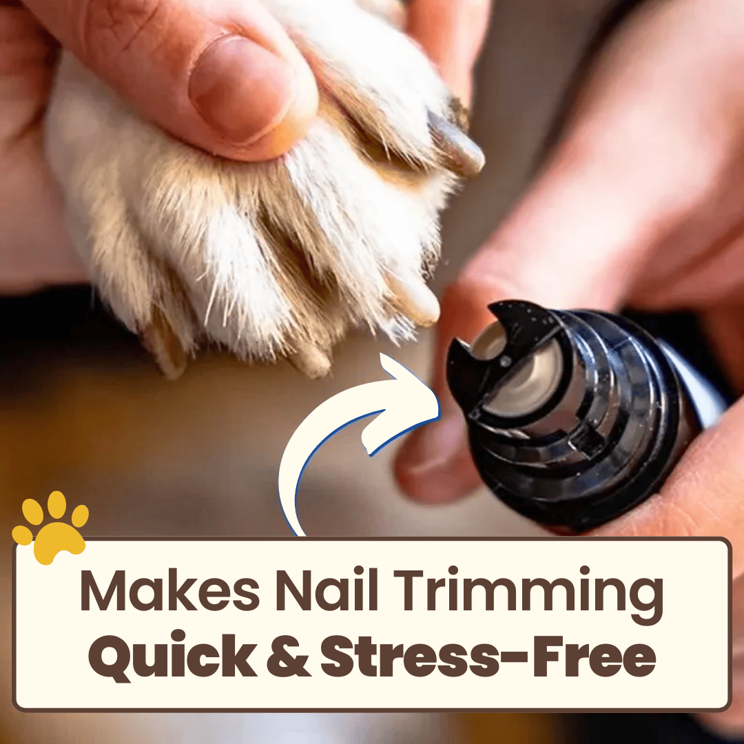 Groomey Pro™ - The Ultra-Quiet Nail Grinder