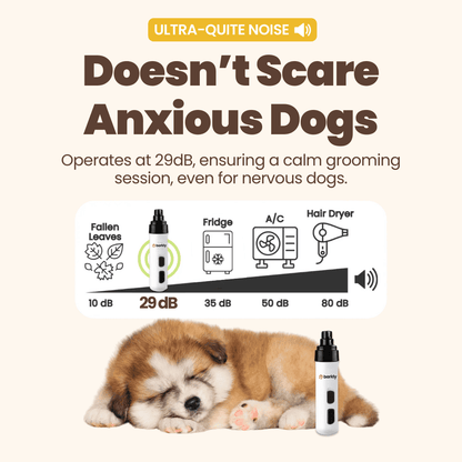 Groomey Pro™ - The Ultra-Quiet Nail Grinder