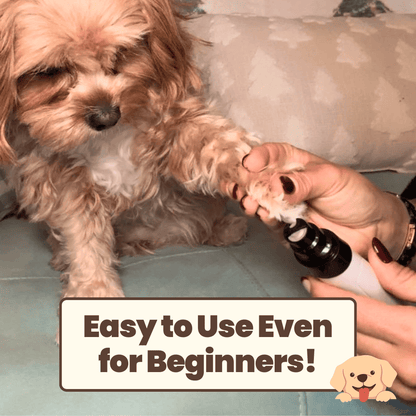 Groomey Pro™ - The Ultra-Quiet Nail Grinder