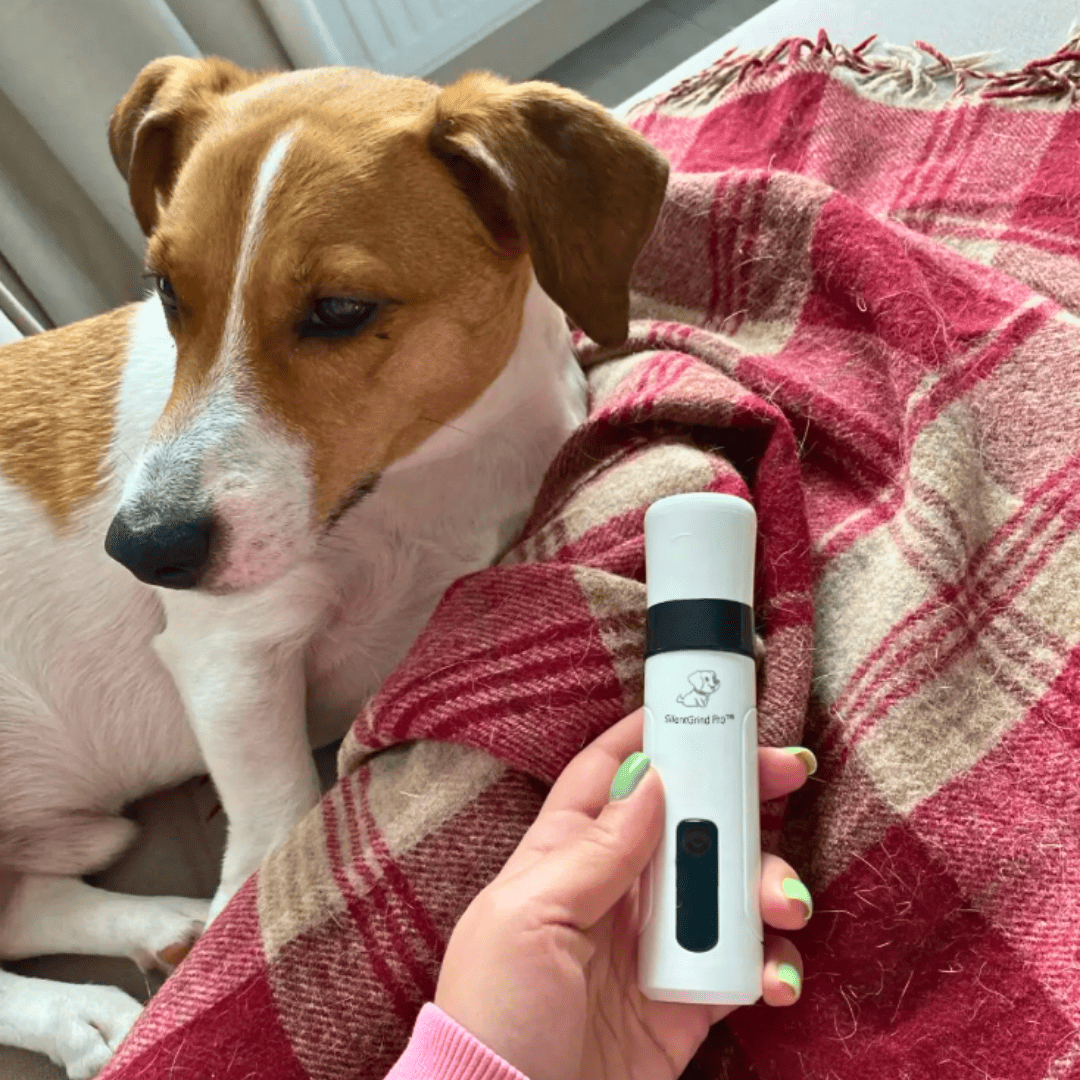 Groomey Pro™ - The Ultra-Quiet Nail Grinder