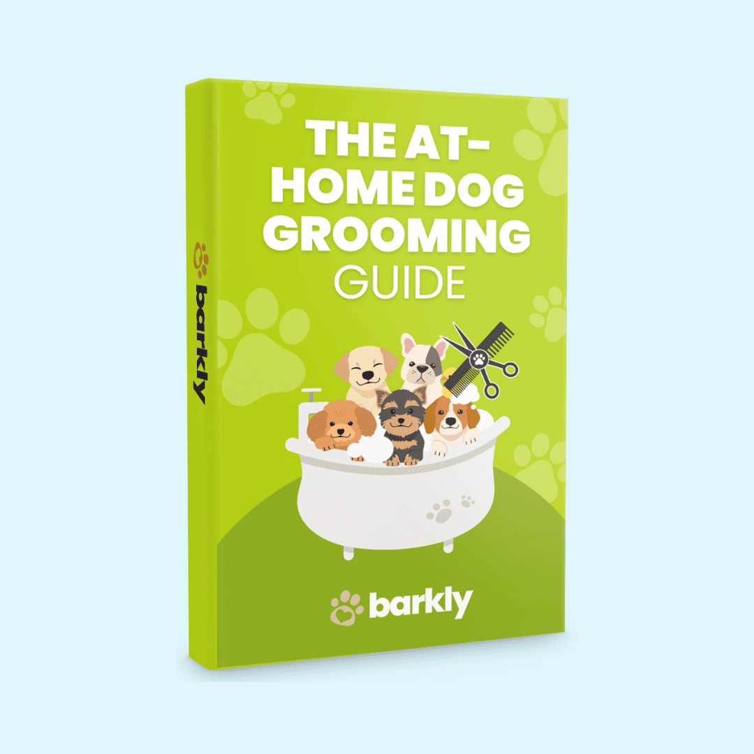 Dog Grooming eBook